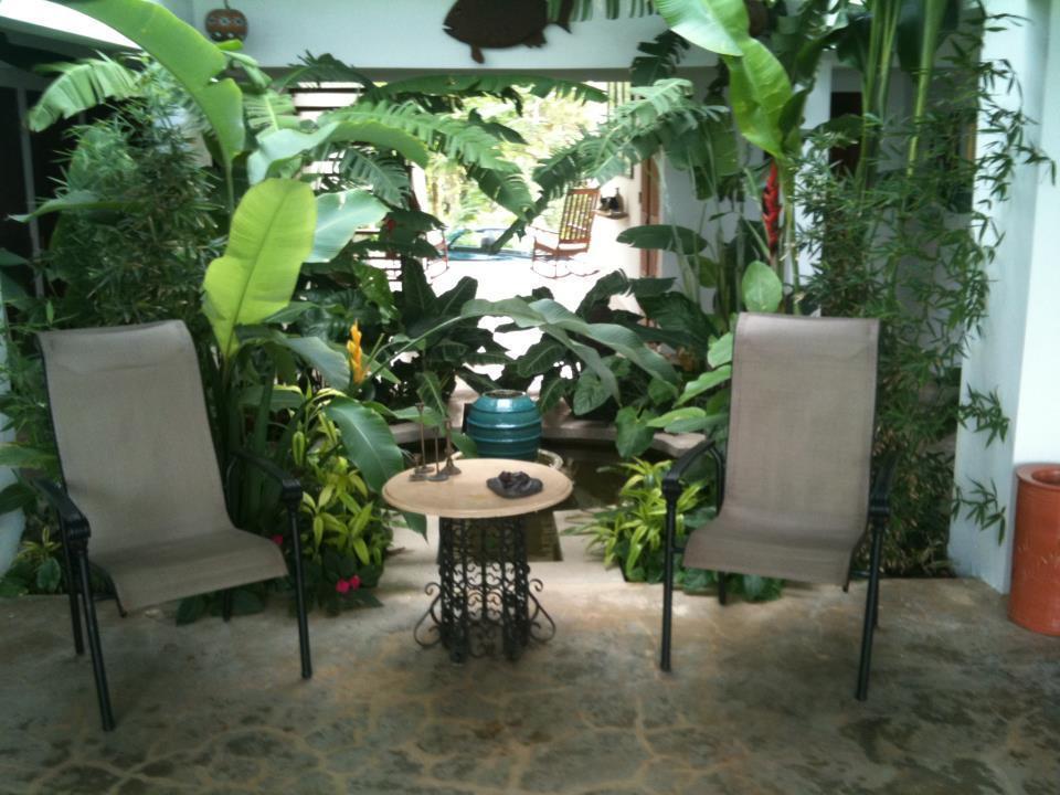 El Hotelito At The Rainforest Experience Farm Fajardo Εξωτερικό φωτογραφία